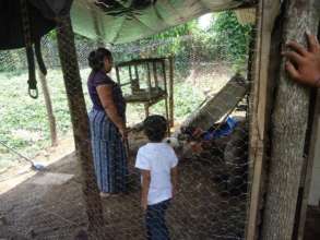 Inside their first poultry house
