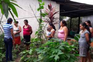Learning in a neighbor's garden