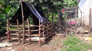 Once unused space now produces food and income