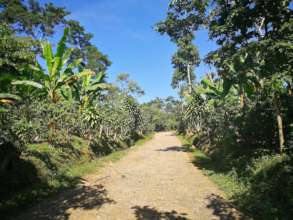 The road to Piedrecitas