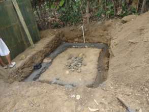 Building a Tilapia pond if the yard has room