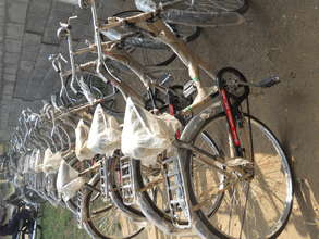 Lady Bicycle