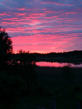 Swedish Sunset