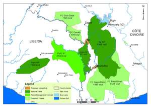 Map of the Tai-Sapo forest complex