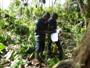 Eco-guards surveying Cavally Classified Forest