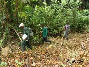 Law enforcement team surveying a cleared land