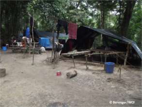 Illegal chewing stick harvester camp