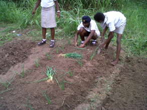 Hands-on Demo: Planting