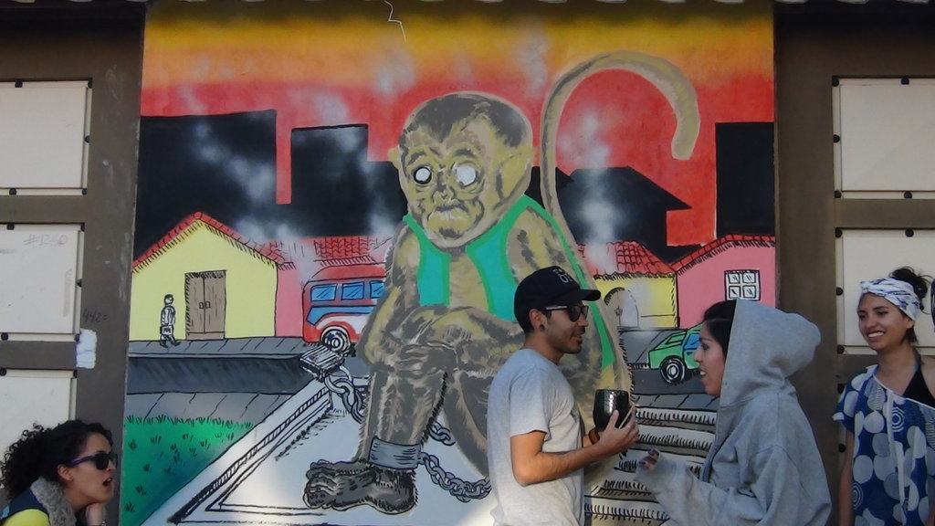 SOCIAL PROJECT AGAINST WILD ANIMAL ABUSE, BOLIVIA
