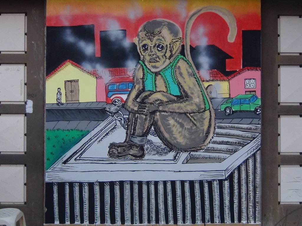 SOCIAL PROJECT AGAINST WILD ANIMAL ABUSE, BOLIVIA