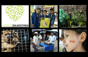 SOCIAL PROJECT AGAINST WILD ANIMAL ABUSE, BOLIVIA