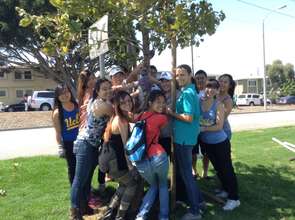 Volunteers straightening a tree