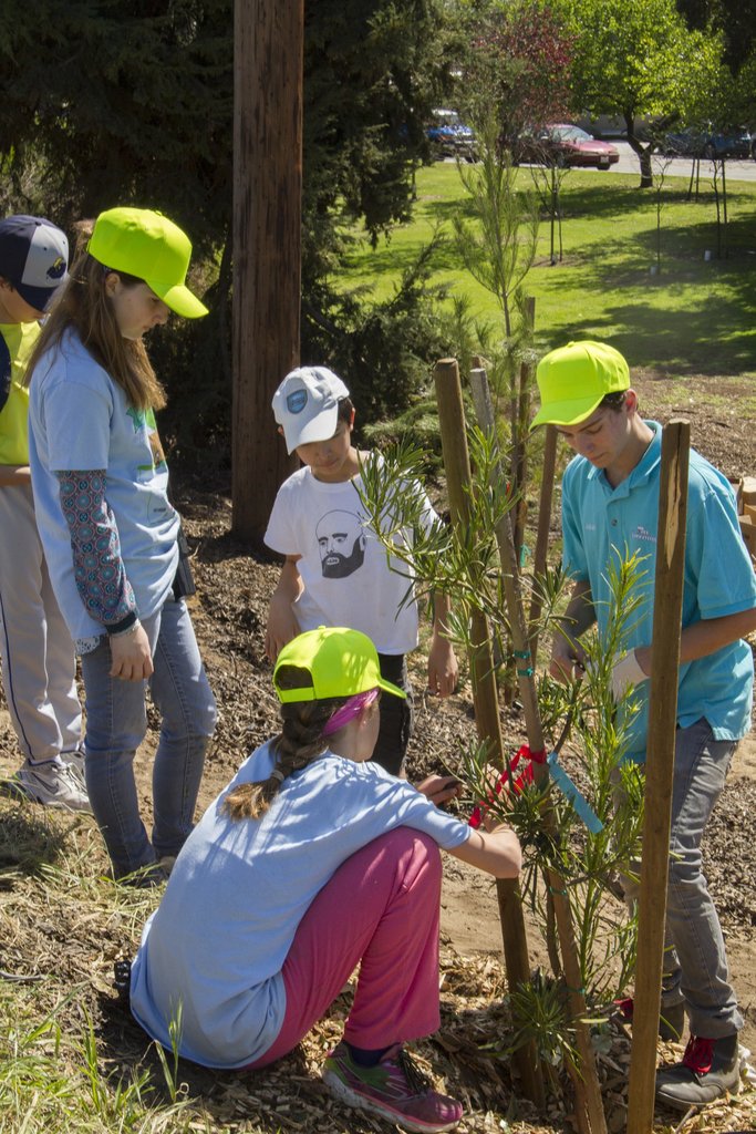 Youth Manager Alum Julian helps team plant a tree