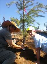 Celeste and Maddie give a tree a new home!