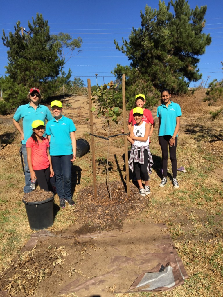 New Planting Sups, Margot, David, Ashley & Natalie