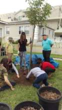 President Fernando instructs & oversees planting