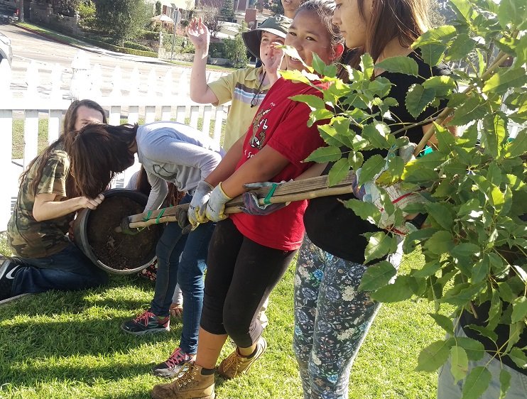The students release Stella the tree from her pot