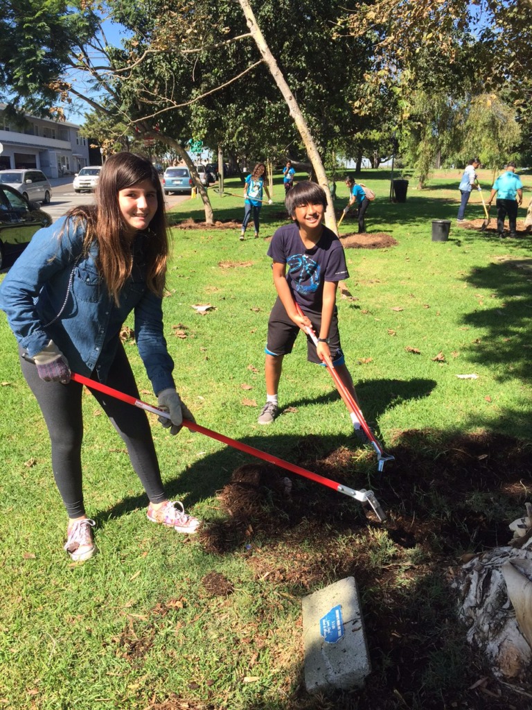 YMT Victor and YPS Kate widen ring of memory tree