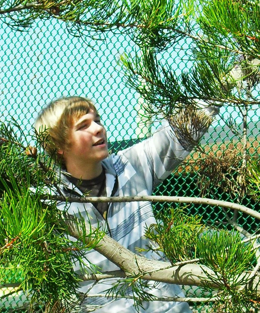 Growing young leaders and trees