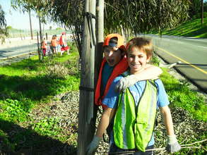 Training young people to take care of trees