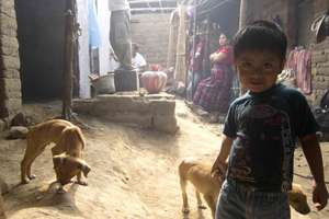 Marvin con los cachorros..gha build in background