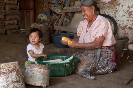 Change the lives of 200 Mayan Families