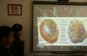 Access to technology and education in Mexico
