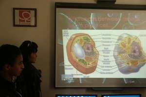 Access to technology and education in Mexico