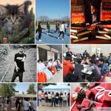 Thank you from Citizens Alliance NKHR