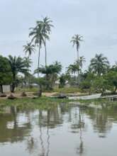 School Boat