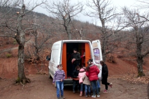 A stop near the woods