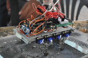 Buggy Robot