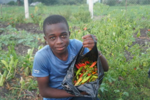 Collecting for the Harvest Festival