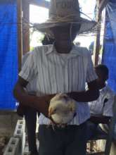 Kinsley holds one of the chickens for the festival