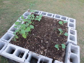 Student Plots