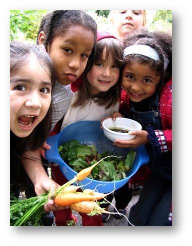 Tools to Connect Schools to Local Food