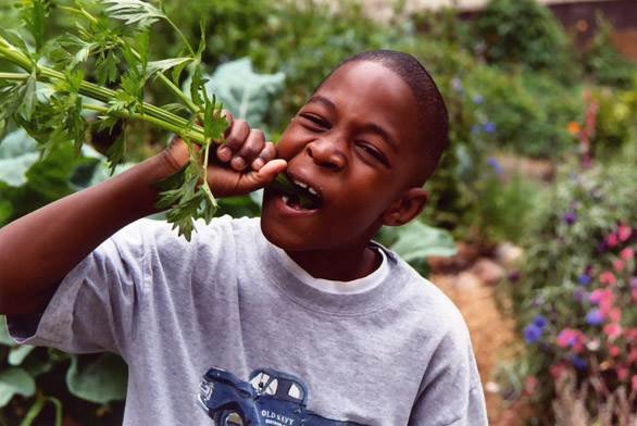 Tools to Connect Schools to Local Food