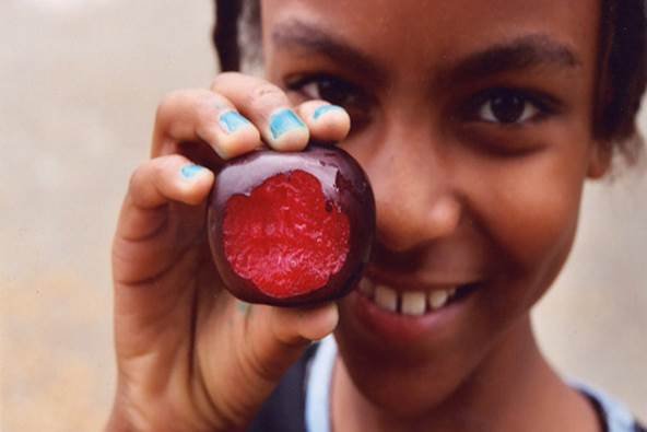 Tools to Connect Schools to Local Food