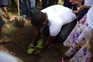 Tree Planting in Community Schools