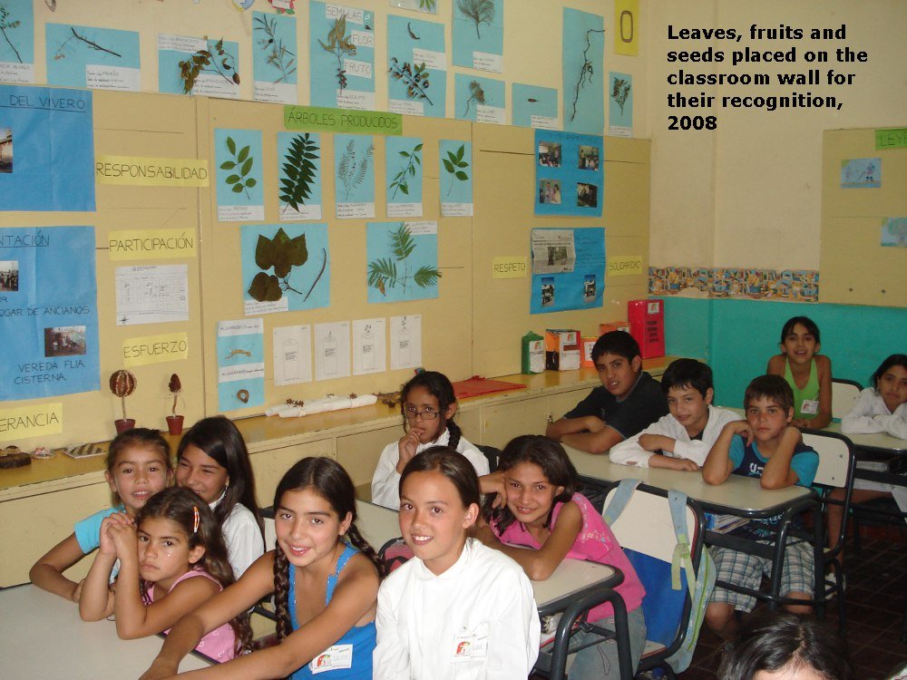 Environmental education for children in Argentina