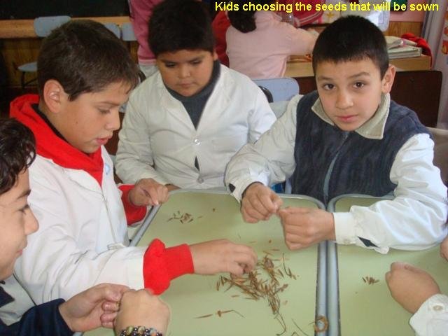 Environmental education for children in Argentina