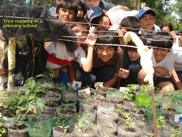 Environmental education for children in Argentina