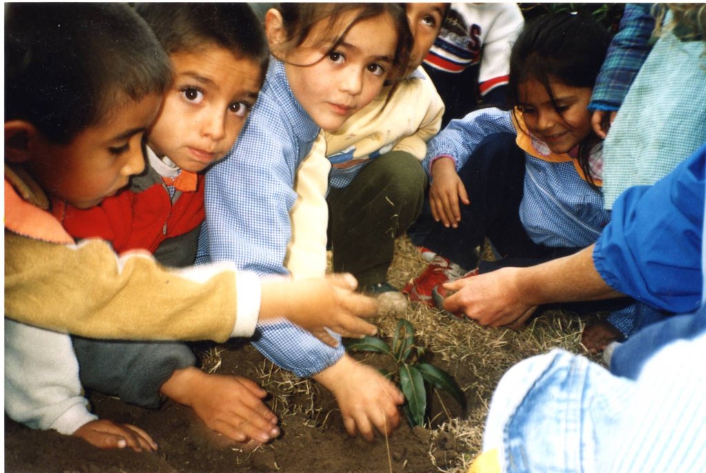 Environmental education for children in Argentina