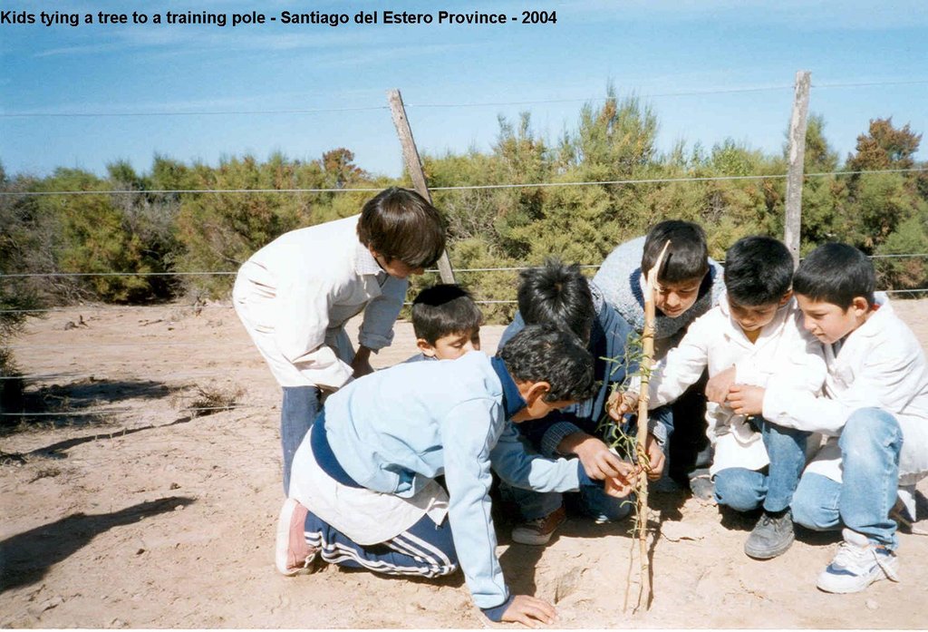 Environmental education for children in Argentina