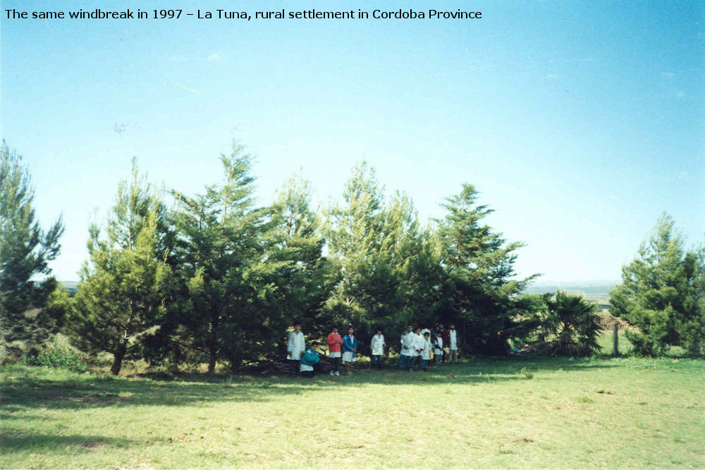 Environmental education for children in Argentina
