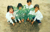 Environmental education for children in Argentina