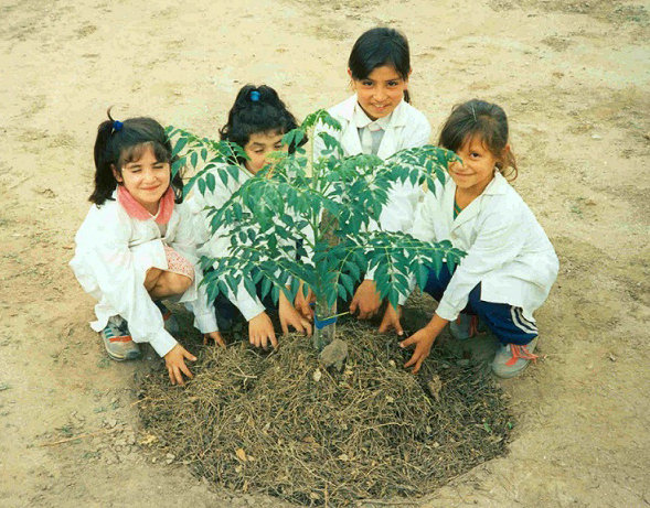 Environmental education for children in Argentina