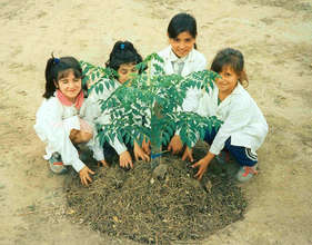 Environmental education for children in Argentina