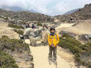 Rian, 10 year old trekker, with yak