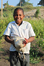 Thanda student enjoys learning about chickens!